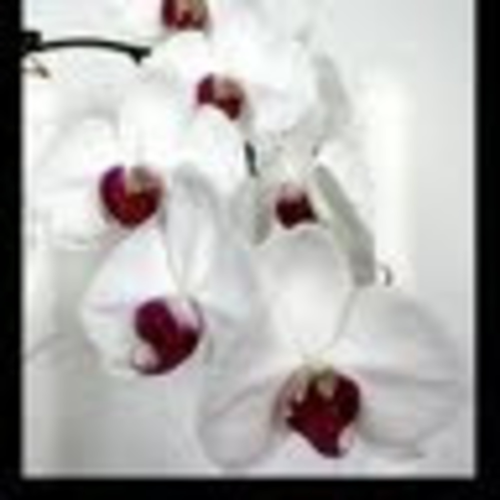 Meet your Posher, Joyce